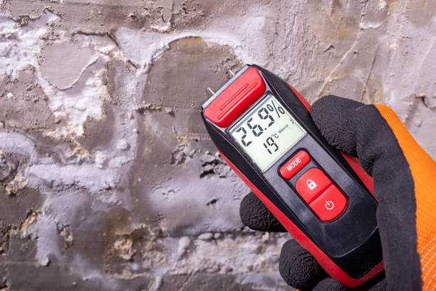 Best Mold Damage Repair  in Hudson, IA