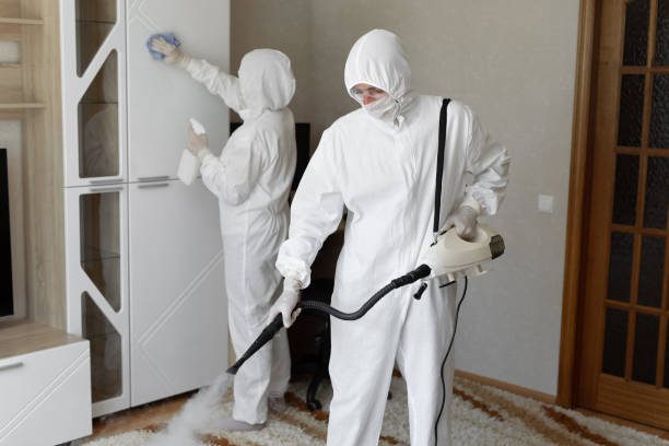 Best Emergency Mold Removal  in Hudson, IA